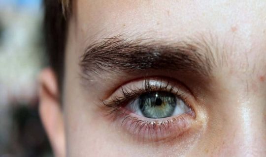 How to get rid of dandruff on your eyebrows